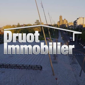 logo druot immobilier