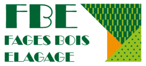 logo fbe